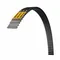 Industrial Timing Belt, GTR, 21 mm Wd, 8 mm Pitch, 5,152 mm Lg, 644 Teeth