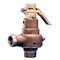 Safety Relief Valve, F Orifice, 1 Inch Inlet Size, Metal, Steam, 250 PSI, Stainless Steel