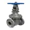 Gate Valve, Flanged, Cast Steel