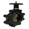 Butterfly Valve, Lug Type, Bare Stem, Cast Iron, 8 Inch Valve Size