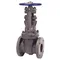 Gate Valve, Flanged, 12 Inch Size, Cast Iron