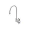 Pantry Faucet, SS, Single Temp., Wall Mount, Swivel/Rigid Gooseneck, Stream Regulator