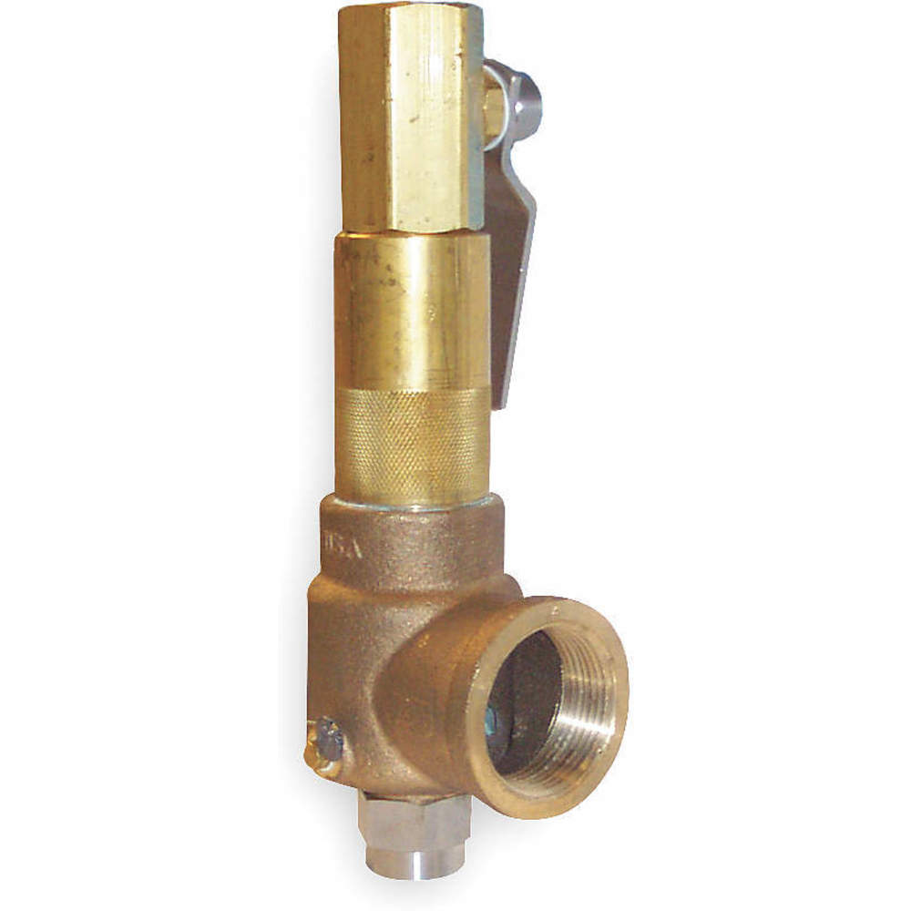523GFBKMAA0500 Apollo | Pop Safety Valve 1-1/4 x 2 Inch ...