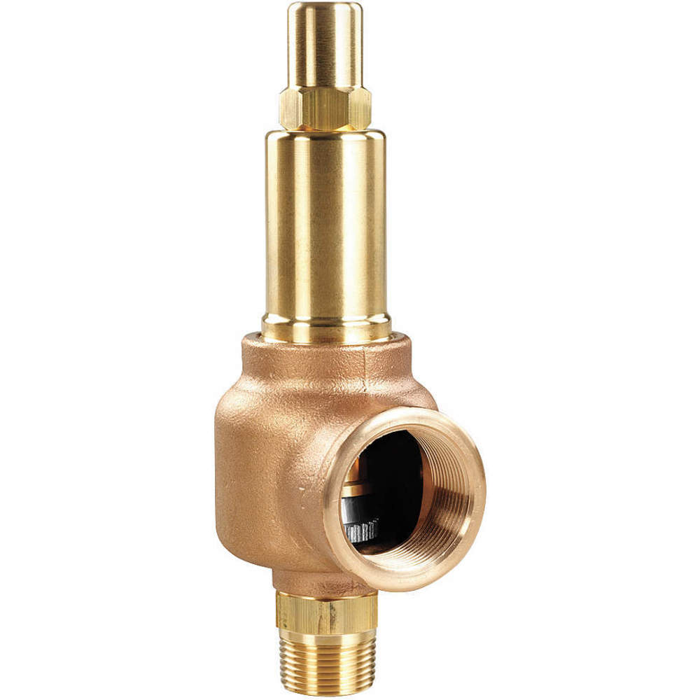 Safety Relief Valve 2 x 2 30 Psi