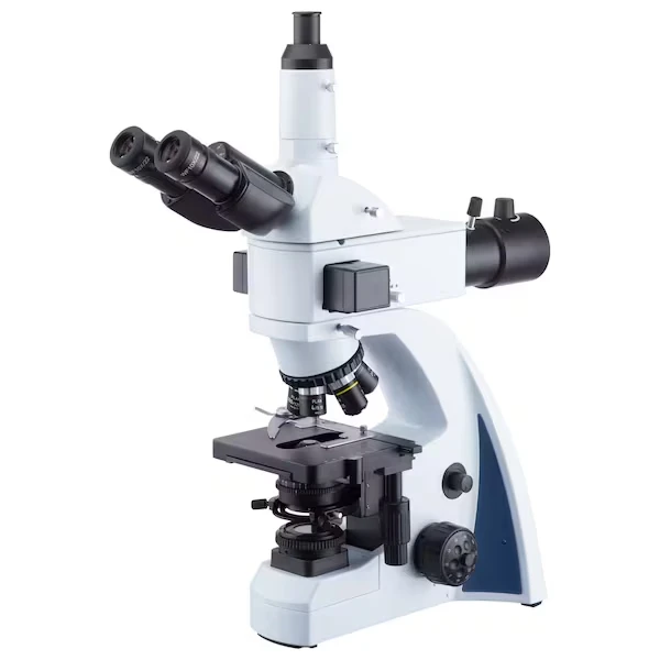 40X-1000X Infinity-Corrected Fluorescence Microscope