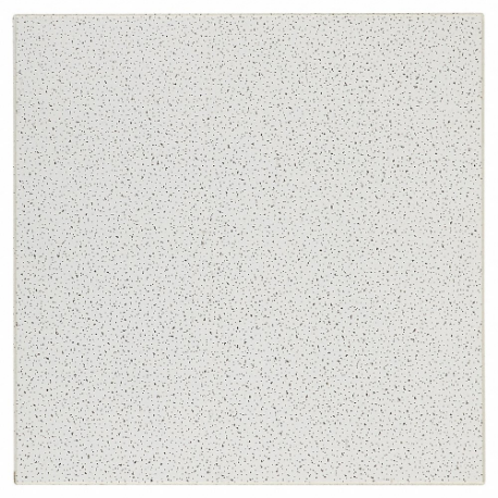 Ceiling Tile, 303A, 24 Inch x 24 in, Beveled Tegular, 15/16 Inch Grid Size, 0.5 NRC