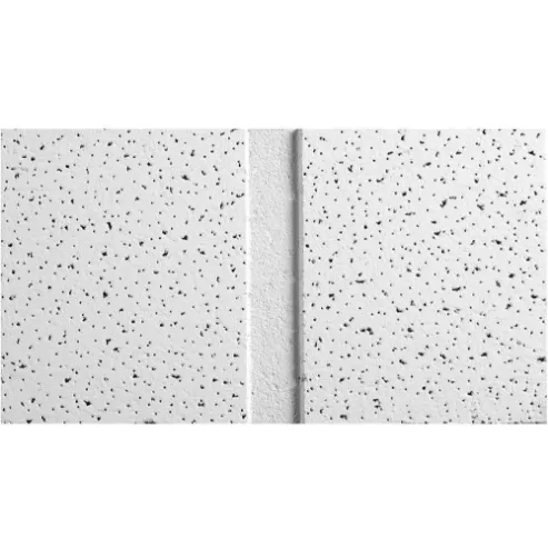 Ceiling Tile Angled Teg 48 x24 Inch PK10