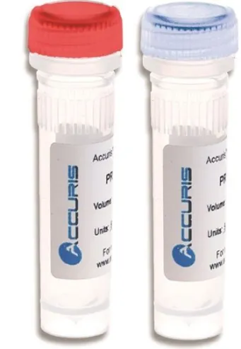 DNA Polymerase Reagent, 250 Units