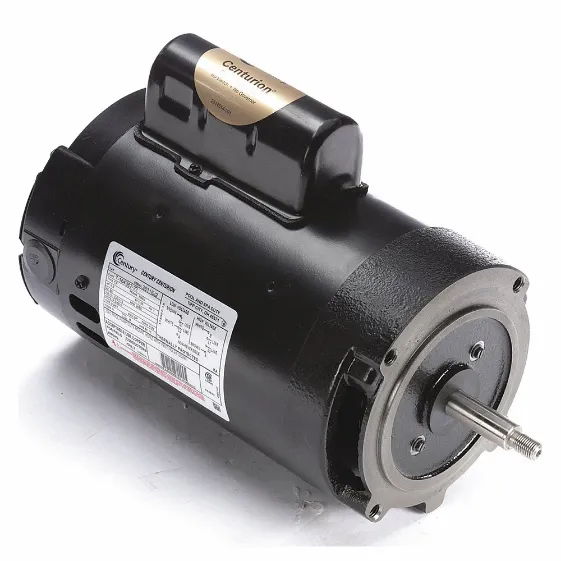 CENTURY Pool and Spa Pump Motors