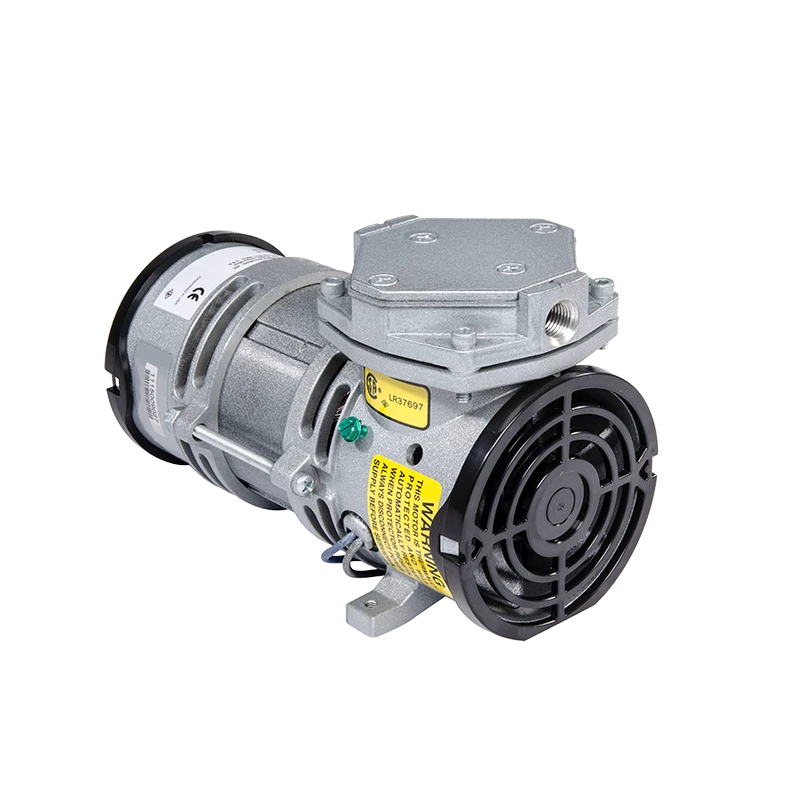 Diaphragm Pump, 1/8 HP, 1725 RPM