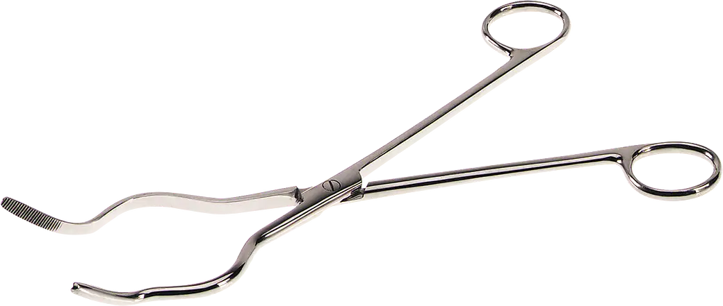 Stainless Steel Tongs