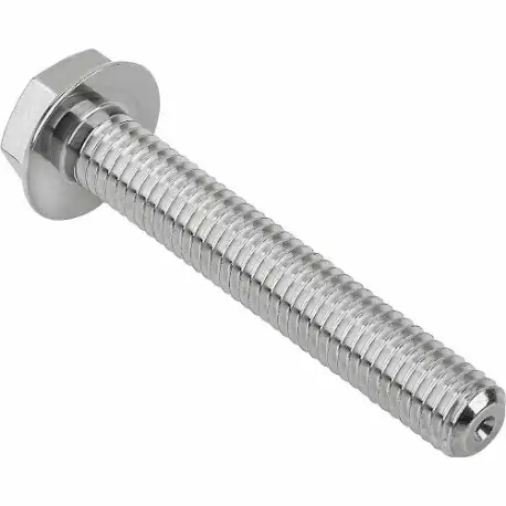 Hygienic Hex Head Screw, Stainless Steel, Fully Threaded, M20, 45 mm Fastener