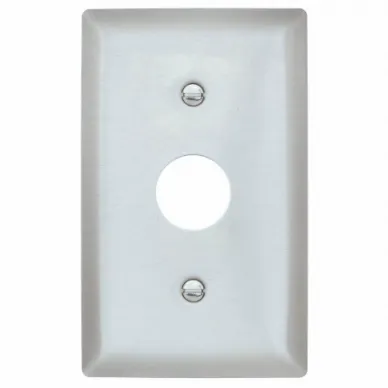 Barrel Key Wall Plate, Barrel Key, Stainless Steel, Silver, 1 Switch Openings