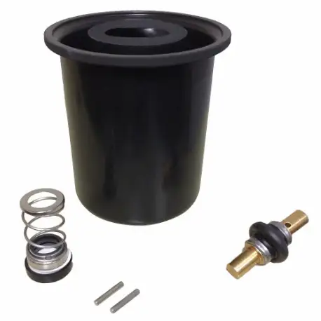 Pump Repair Kit