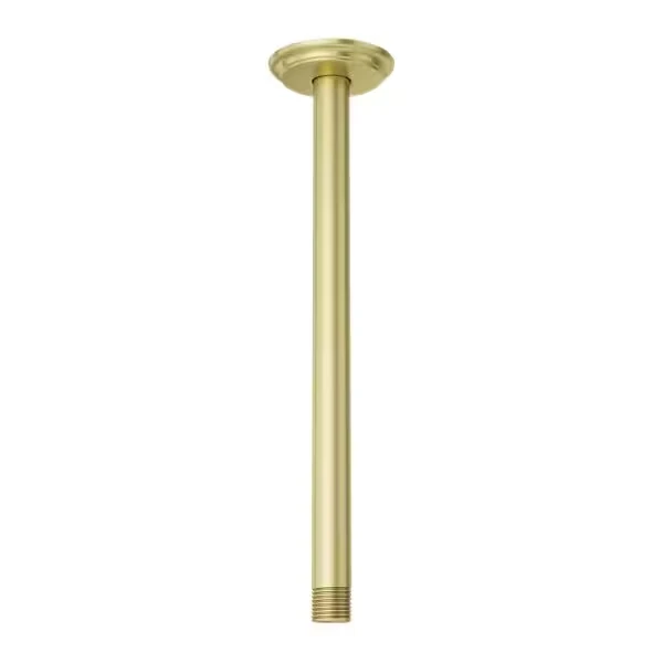 PFISTER Showerhead and Tub Accessories