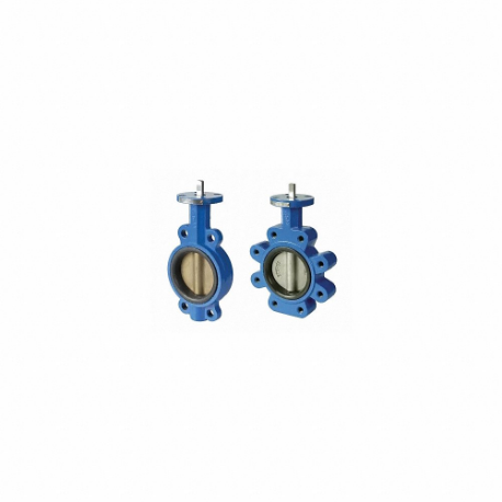 Butterfly Valves, ABZ 396/397, Lug Style, Ductile Iron, 2 1/2 Inch Pipe Size