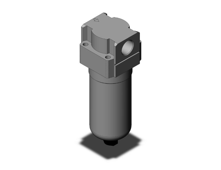 Filter, 1/4 Inch Port Size