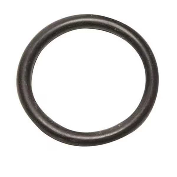 Solo O-Ring 0062139