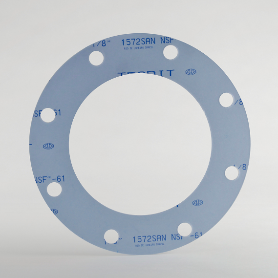 Ring Cut Gasket, Tealon 1572 SAN, 1/16 Inch Thickness, 5 Inch Size, 150# Class