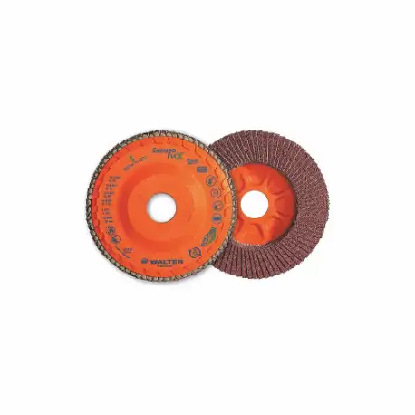 Flap Disc, Type 27, 4 1/2 Inch x 7/8 Inch, Aluminum Oxide, 80 Grit