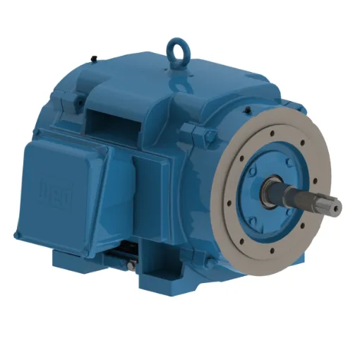 Pump Motor, 3 Phase, 100 Hp, 1780 460V, 404jp