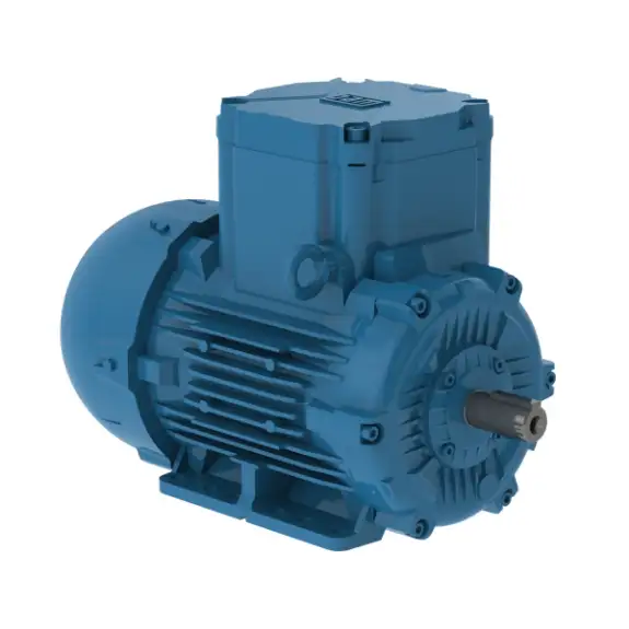 Electric Motor, 1.1Hp, 50Hz, 3000 Rpm