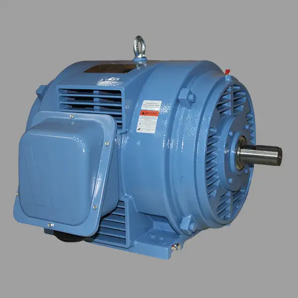 WORLDWIDE ELECTRIC AC Motors